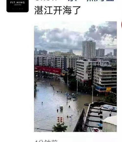 湛江市最新爆料,揭秘城市新动向与热点事件